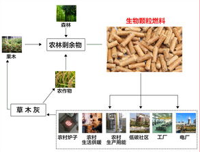 【木屑颗粒机高产的生物质燃料颗粒机投资】-