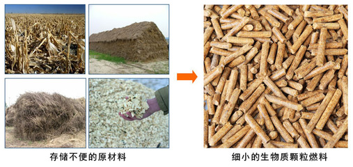 河南洛阳8mm生物质颗粒燃料_能源/新能源栏目