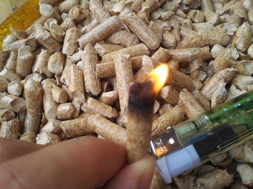 生物质燃料热值报价 厂家