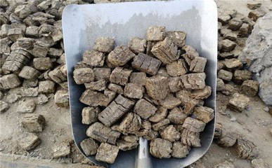 南阳市生物质压块燃料价格多少钱一吨