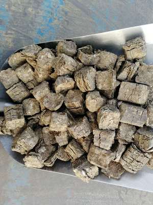 河南周口环保锅炉燃料厉害了我的哥