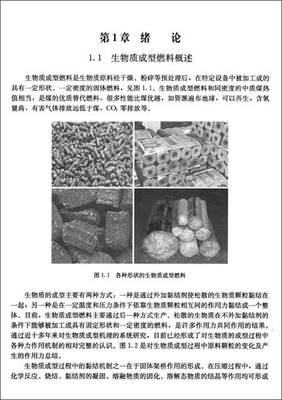 生物质成型燃料技术与工程化/张百良-图书-亚马逊