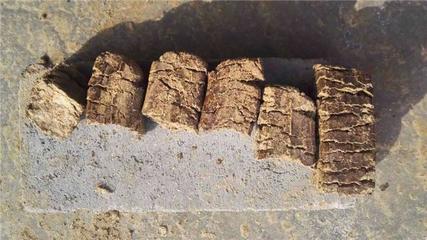 环保局规定能使用花生壳生物质压块燃料吗