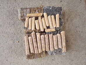 绿色能源新星 生物质锅炉燃料——可持续发展的关键选择