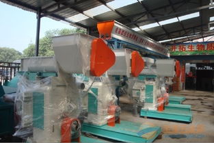 四川生物质颗粒建厂指南 木屑颗粒原料与生产设备全解析