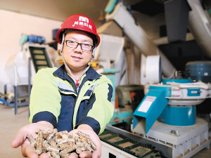 新燃料让村民过上生态好日子——生物质燃料的绿色革命